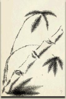dcbf6904co1